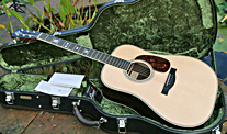 Santa Cruz Guitar with Case